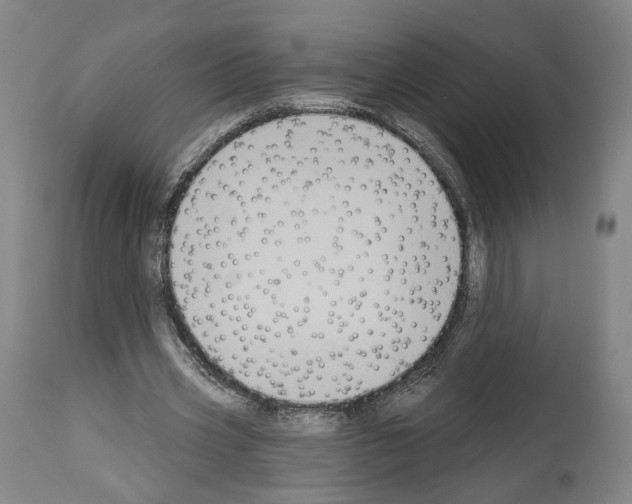 X0000114020533200911131229