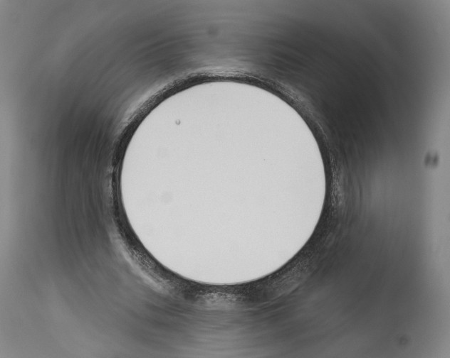 X0000114020535200911131229