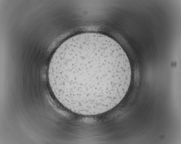 X0000114020537200911131229