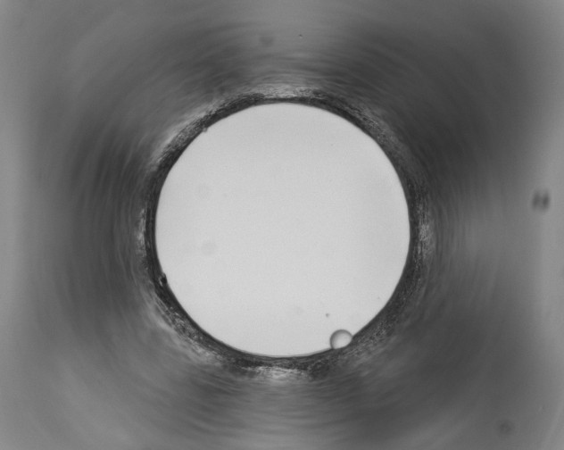 X0000114020539200911131229