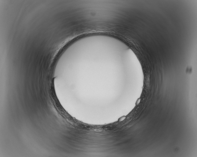 X0000114020540200911131229