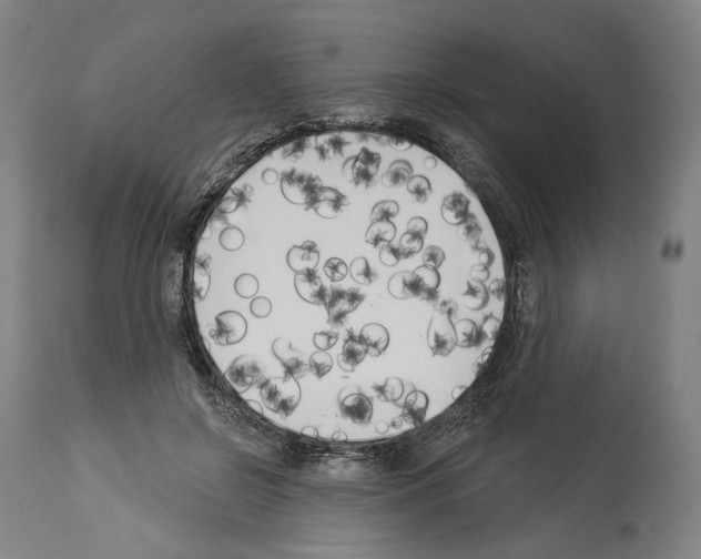 X0000114020550200911131229