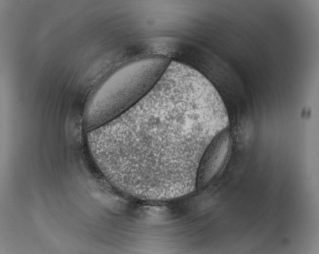 X0000114020552200911131229