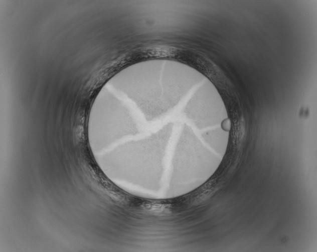 X0000114020553200911131229