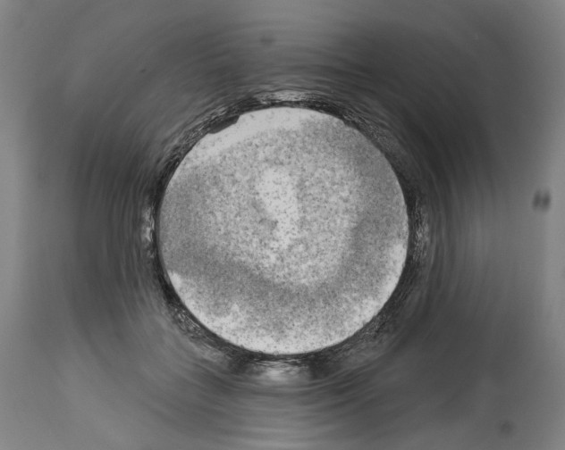 X0000114020555200911131229