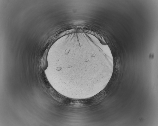 X0000114020559200911131229