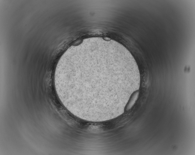 X0000114020560200911131229