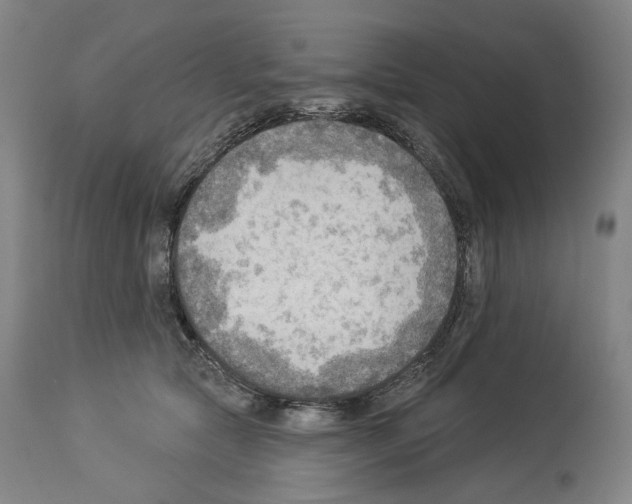 X0000114020561200911131229