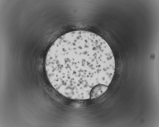 X0000114020563200911131229