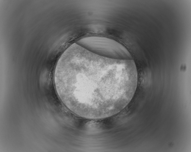 X0000114020568200911131229