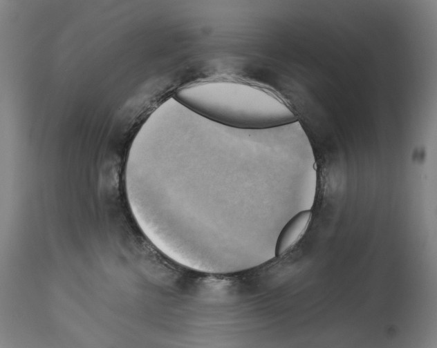 X0000114020570200911131229