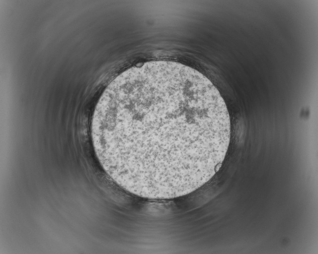 X0000114020571200911131229