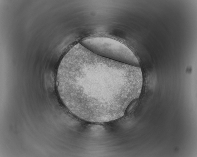 X0000114020572200911131229