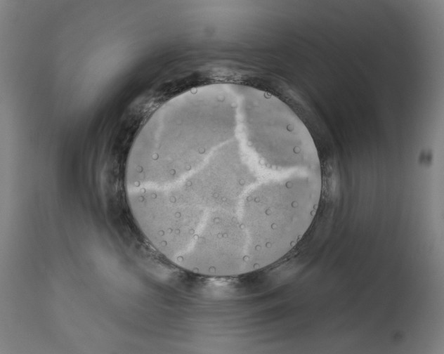 X0000114020573200911131229