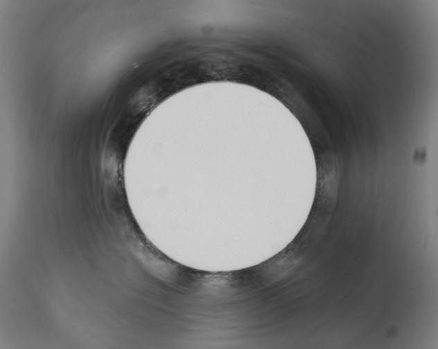 X0000114020574200911131229