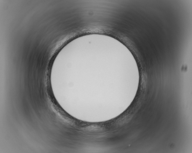 X0000114020578200911131229