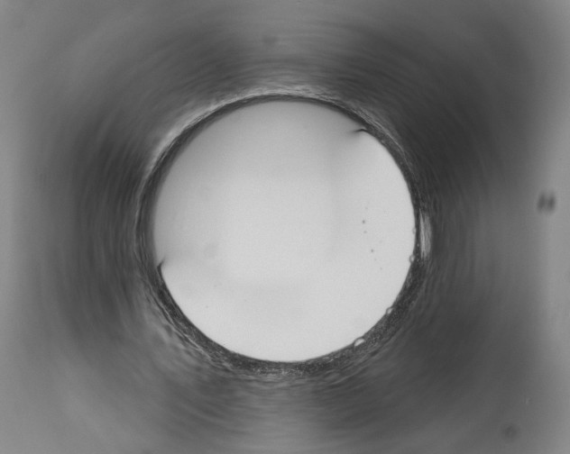 X0000114020579200911131229