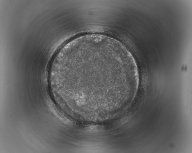 X0000114020584200911131228