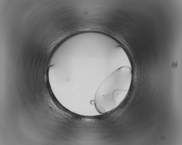 X0000114020585200911131228