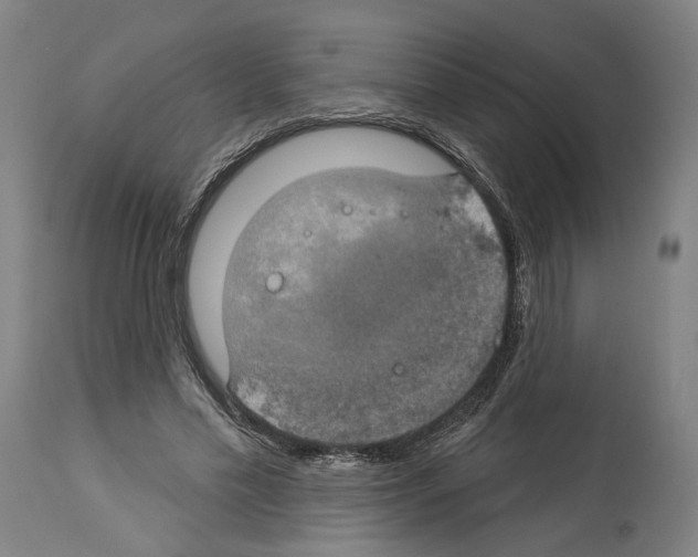 X0000114020589200911131228