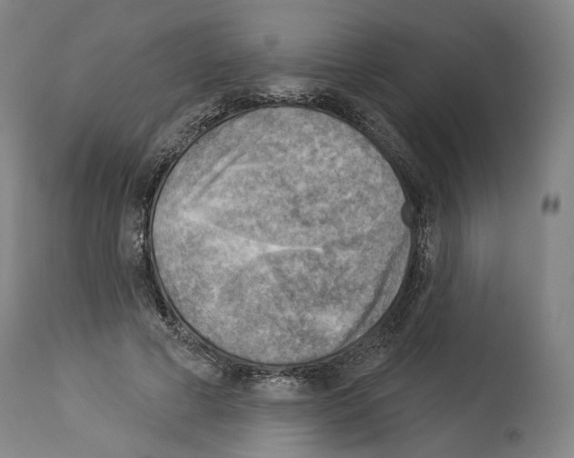 X0000114020593200911131228