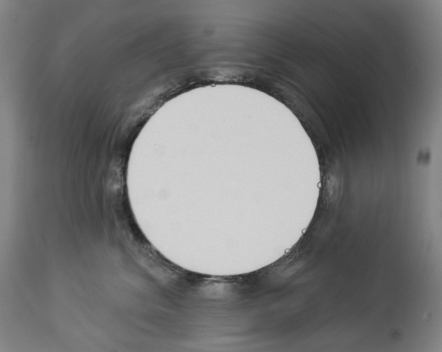 X0000114020620200911131228