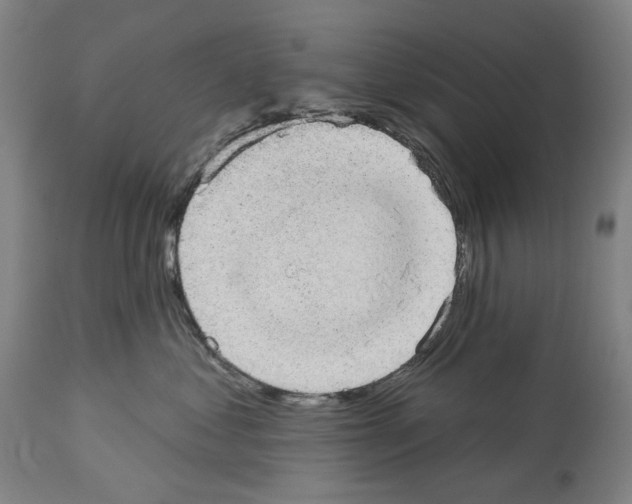 X0000114020621200911131228