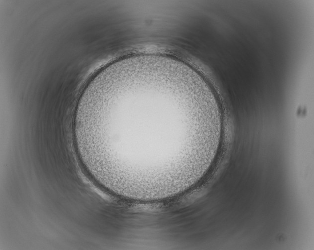 X0000114020625200911131227