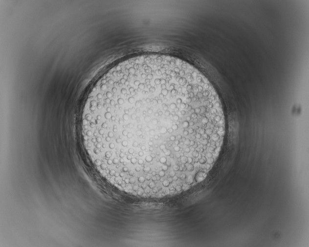 X0000114020626200911131227