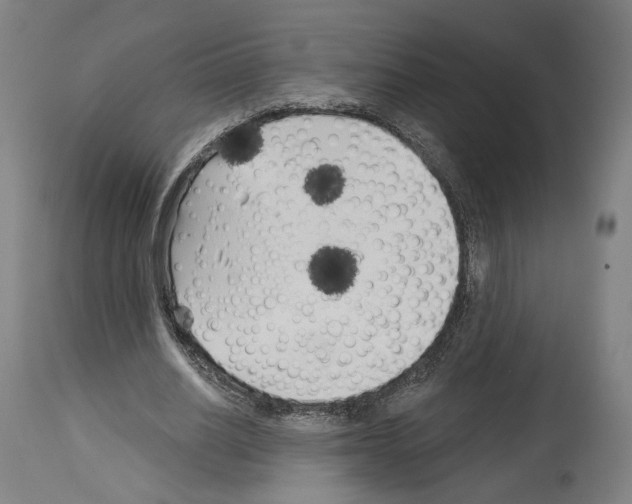 X0000114020630200911131227