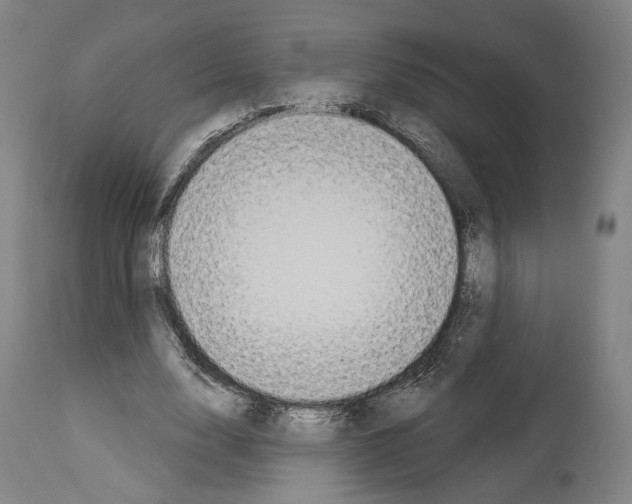 X0000114020632200911131227