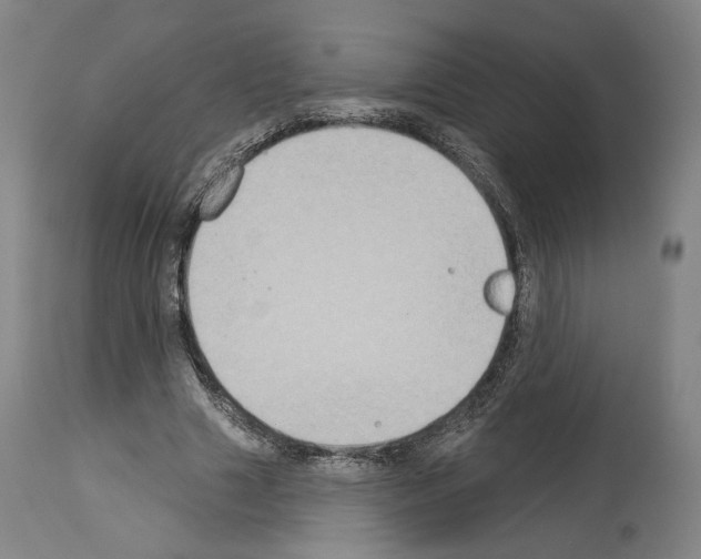 X0000114020633200911131227