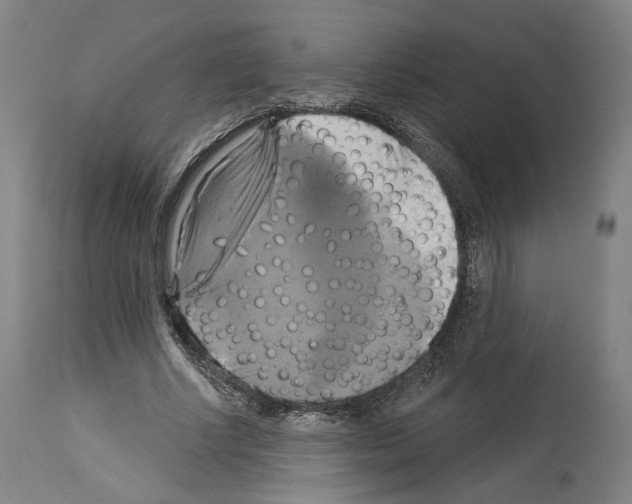 X0000114020634200911131227