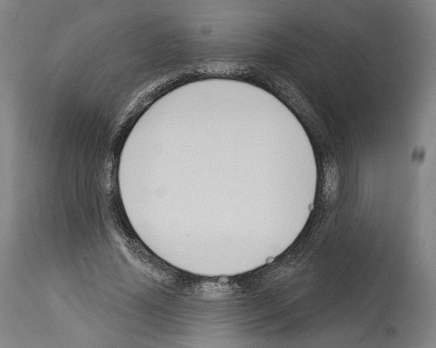 X0000114020636200911131227