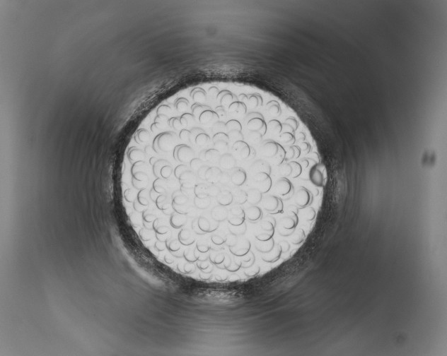 X0000114020638200911131227