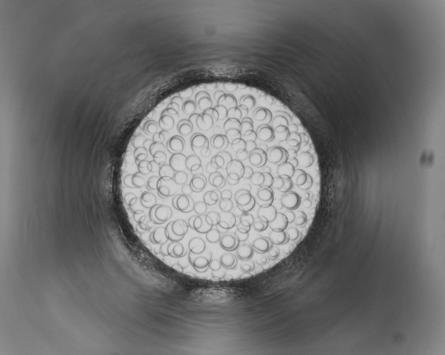 X0000114020639200911131227