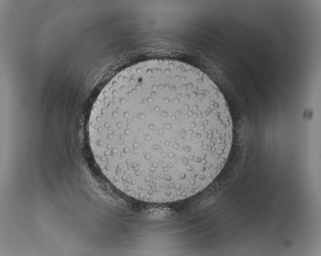 X0000114020642200911131227