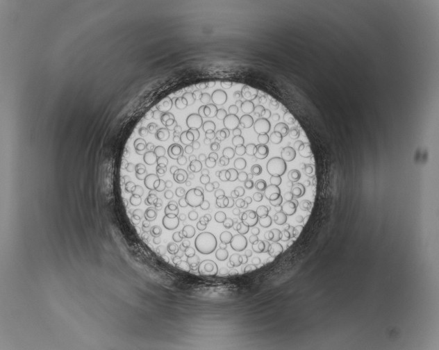 X0000114020646200911131228