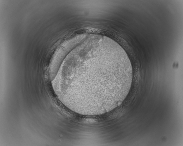 X0000114020649200911131228