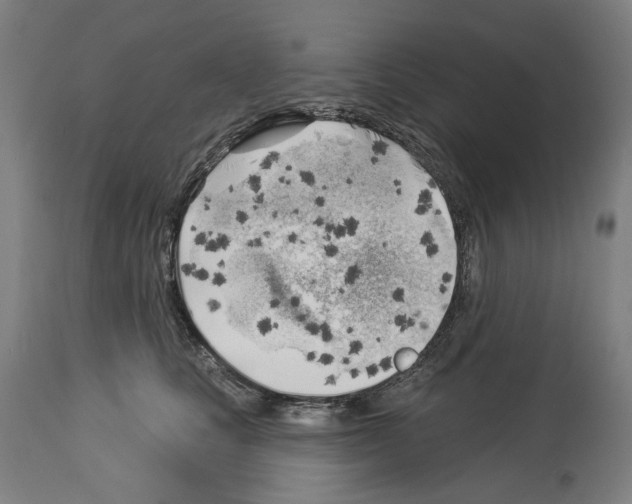 X0000114020661200911131228