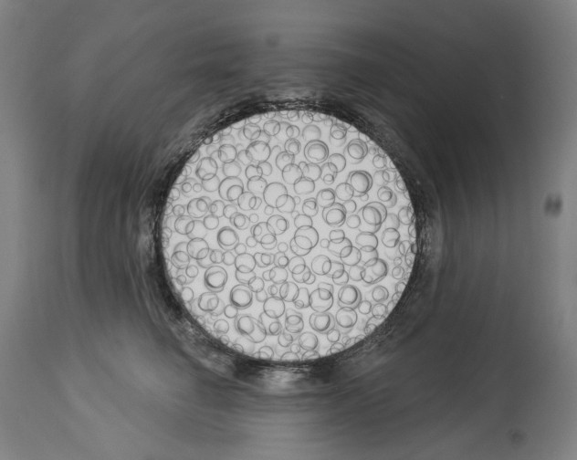 X0000114020662200911131228