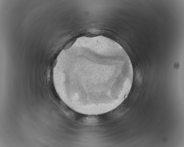 X0000114020668200911131228