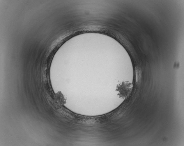 X0000114020675200911131227