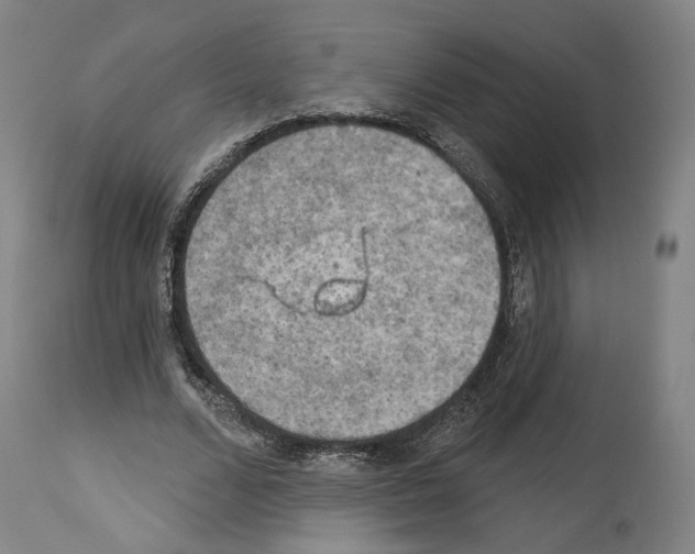 X0000114020680200911131227