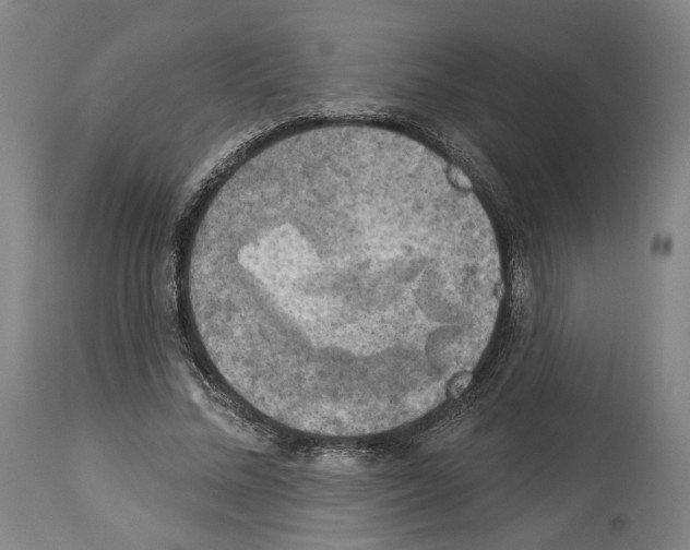 X0000114020684200911131227