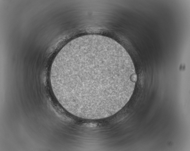 X0000114020687200911131227