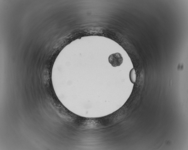 X0000114020704200911131227