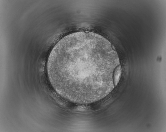 X0000114020708200911131227