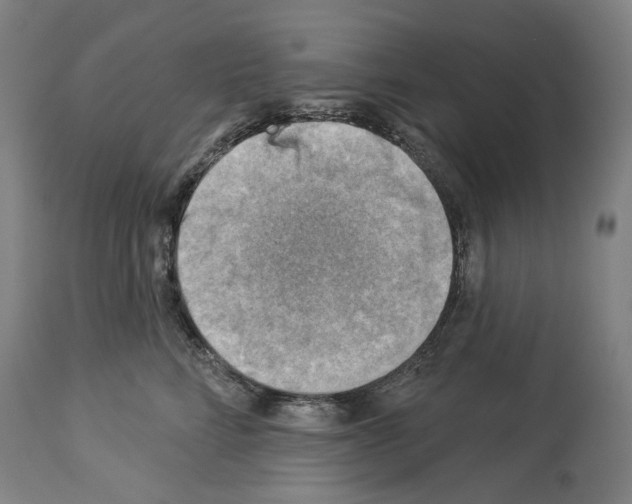 X0000114020712200911131227