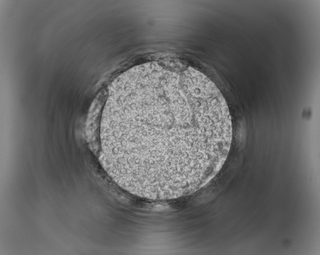 X0000114020715200911131227